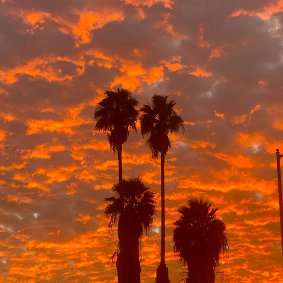 Meet your Posher, Wendy - Picture 1 of 1